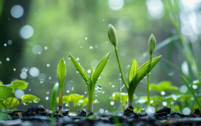 Irrigazione smart: risparmiare acqua nei campus e centri logistici